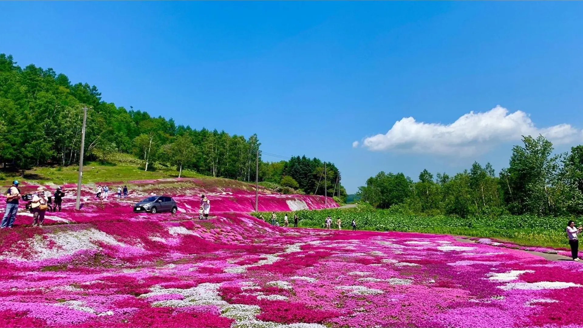 Skye Niseko - Vacation Stay 41541V